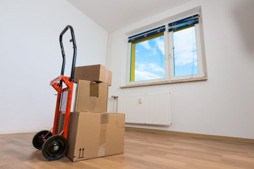 Flexible man with van option for Stockwell removals